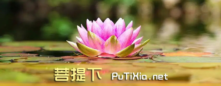 關於菩提下 putixia.net